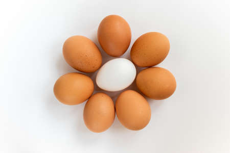 Group of fresh eggs. Brown chicken eggs, isolated on white background. Preparation for painting...