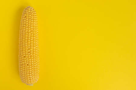 fresh corn cob with empty space for text isolated on yellow background, whole peeled maize, top view