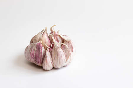fresh head of garlic isolated on white background, organic food, side viewの写真素材