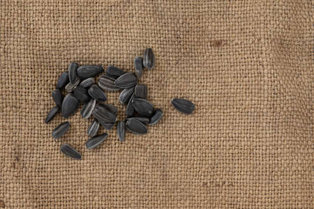 black sunflower seeds isolated on sacking background with copy space for text, top view of pile of roasted unpeeled seedsの写真素材
