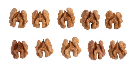 halves of walnuts isolated on white background, pattern top view, snack food concept, vegan meal
