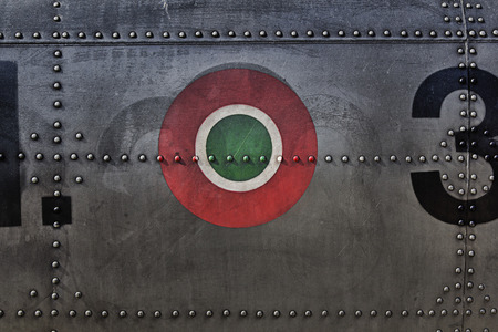 Painting canvas military texture depicting Italian badge