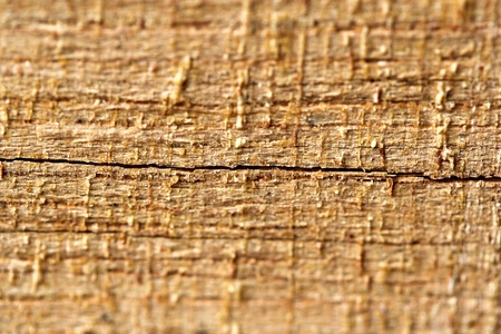 Close up surface sheet of plywood textureの写真素材