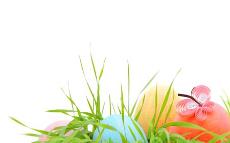Easter eggs with grass isolated on white backgroundの写真素材