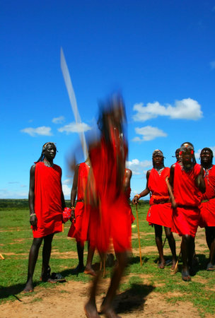 Masai warrior dancing traditional dance. Africa. Kenya. Masai Mara. Editorial use onlyのeditorial素材
