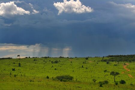 Overcast cloudscape. Africa. Kenya. Masai Maraの写真素材