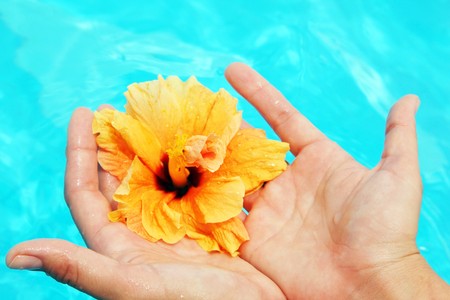 Beautiful female hands in the pool conceptual image of vacationの写真素材