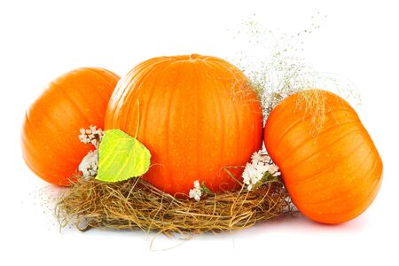 Pumpkins & dry leaves isolated on whiteの写真素材