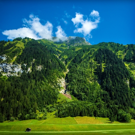 Beautiful Alpine mountains, fresh pine trees forest, green valley, picturesque landscape, blue sky, touristic destination, sunny day, tourism conceptの写真素材