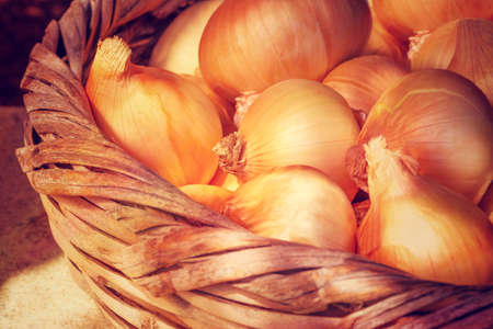 Basket with onions standing in sun light, food background, fresh spicy vegetables, organic nutrition from garden, great harvest, vegetable productionの写真素材