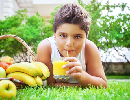 Portrait of a happy teen boy lying down on fresh green grass field and drinking tasty juice, eating fruits, enjoying healthy nutrition in the summer campの写真素材