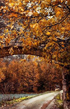 Tunnel over the mountainous roadの写真素材
