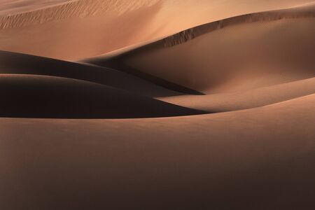Desert landscape, beautiful sandy hills of Liwa in Abu Dhabi, nature of middle east, abstract natural backgroundの写真素材