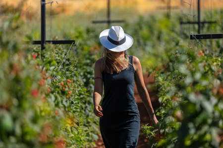 Young Stylish Girl Walking in the Ranch. Working in the Garden. Cultivation of Fruits and...