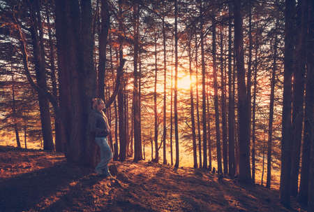 Woman walking in the autumn forest, pretty girl spending morning in the park, enjoying mild yellow sunlight breaking through tree trunks, serene fall weekendの写真素材