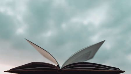 Spending a Nice Evening Reading an Interesting Book Outdoors. Overcast Weather Sky Background. Calm Pleasant Pastime.の写真素材