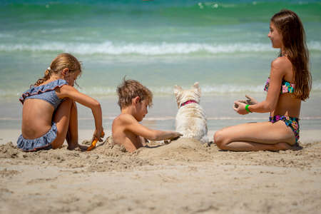 Cheerful Siblings Having Fun on the Beach. With Pleasure Playing with Their Dog on the Sandy Sea Shore. Happy Family on Summer Vacation.の写真素材