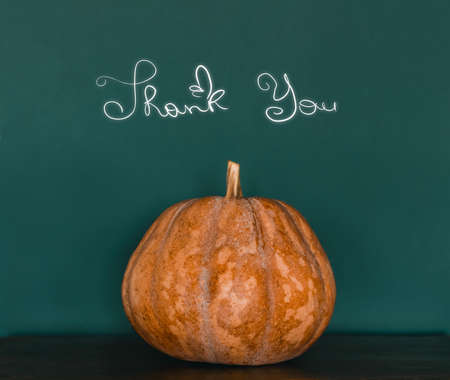 Beautiful Festive Vintage Background. Big Orange Pumpkin Isolated on Green Backdrop with Text, Thank You. Traditional Thanksgiving Day Decoration.の写真素材