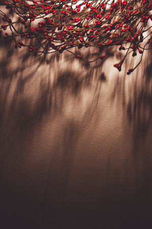 Red berries Christmas decor borderの写真素材