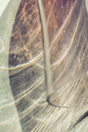 Dreamy Beige Retro Style Backgroundの写真素材