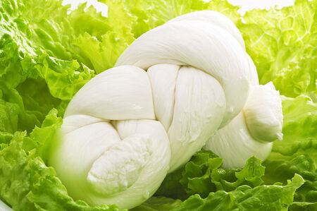 Mozzarella on the salad