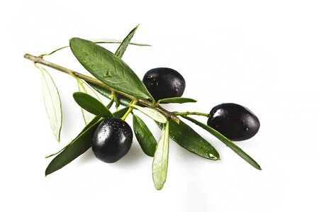 branch with black olives on whiteの写真素材