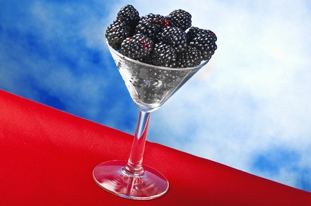 Blackberry on the sky backgroundの写真素材