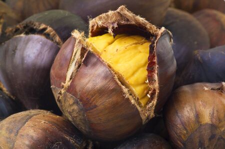 Chestnut open close up on the whiteの写真素材