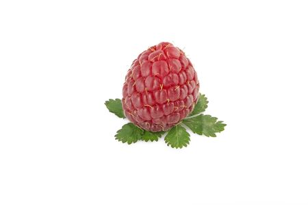 Raspberries; Objects on white backgroundの写真素材