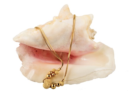 Shell & jewelry on the white
