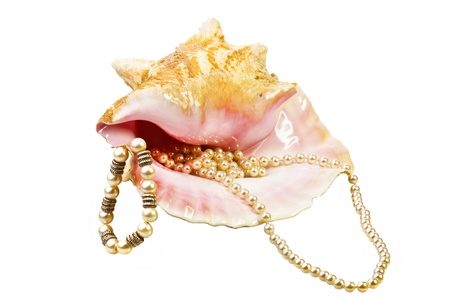 Pearl closeup  in the shellの写真素材