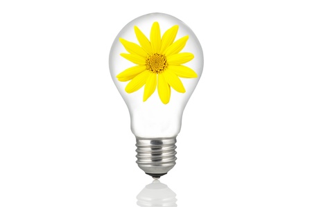 lamp with the subject withinの写真素材