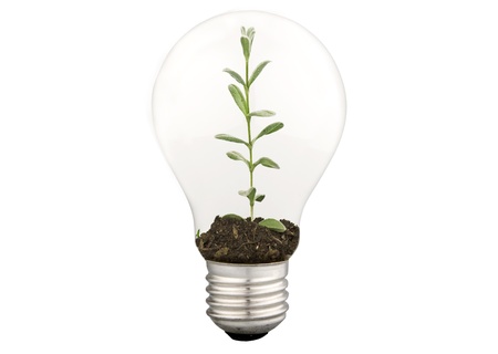 eco energy lamp on white