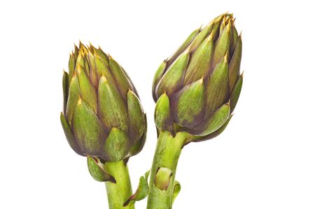 Artichoke on a white backgroundの写真素材