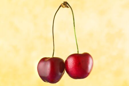 Cherry close up on whiteの写真素材