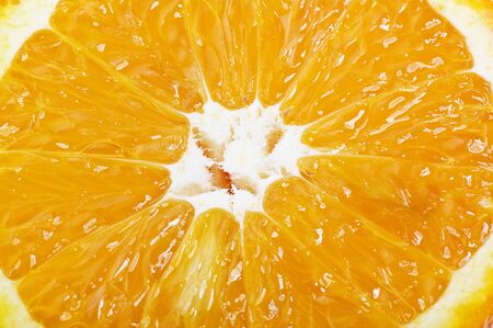 orange slice on the whiteの写真素材