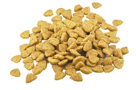 Dog accessory and food on white