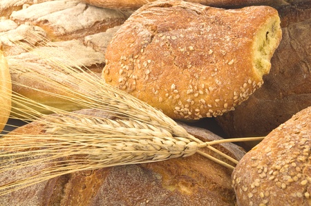 ears of corn and bread composition