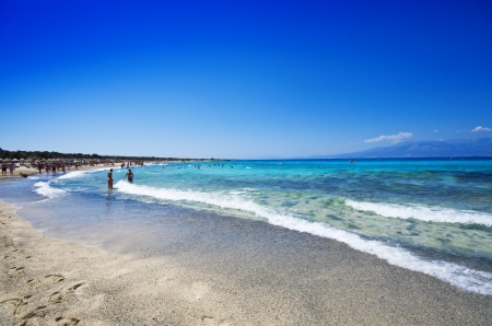 Landscape of Chrissi Island Crete Greeceの写真素材