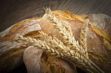 ciabatta bread with ears of corn on the wooed table