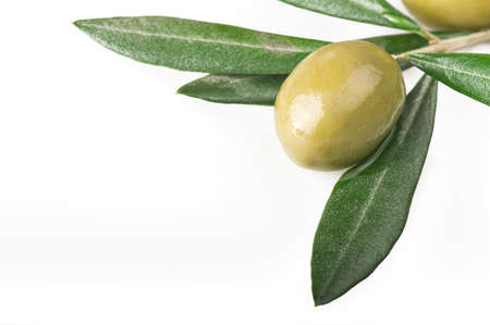 olive branch with three olives on the whiteの写真素材