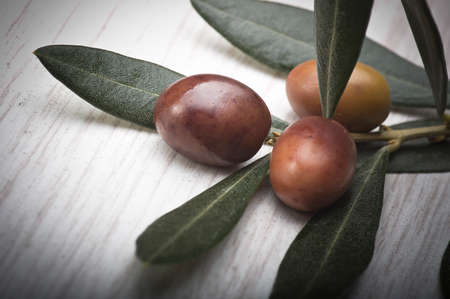 olive branch with three olives from Liguria (Italy)の写真素材