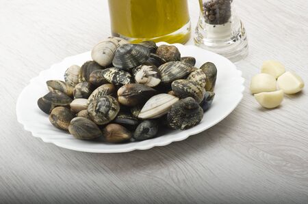 Fresh raw Clam close up on white