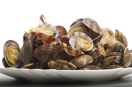 Fresh Clam cooked close up on whiteの写真素材