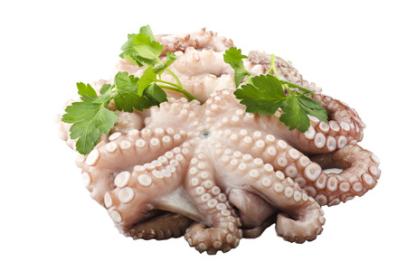 fresh octopus with potatoes and parsley on white plateの写真素材