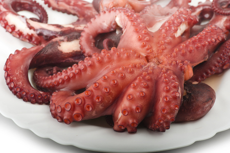 two boiled octopus on a white plateの写真素材