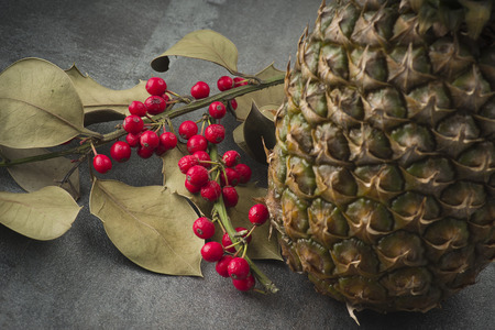 branch of holly and Ananas fruit on the grey background の写真素材