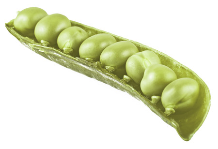 Green Peas close up on the white の写真素材
