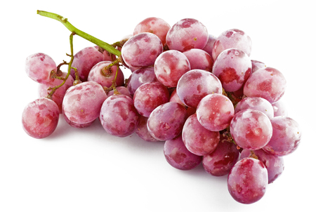 fresh pink grapes with drops close upの写真素材