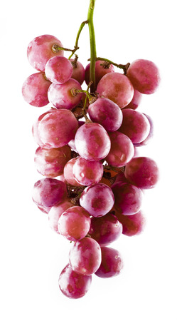 fresh pink grapes with drops close upの写真素材